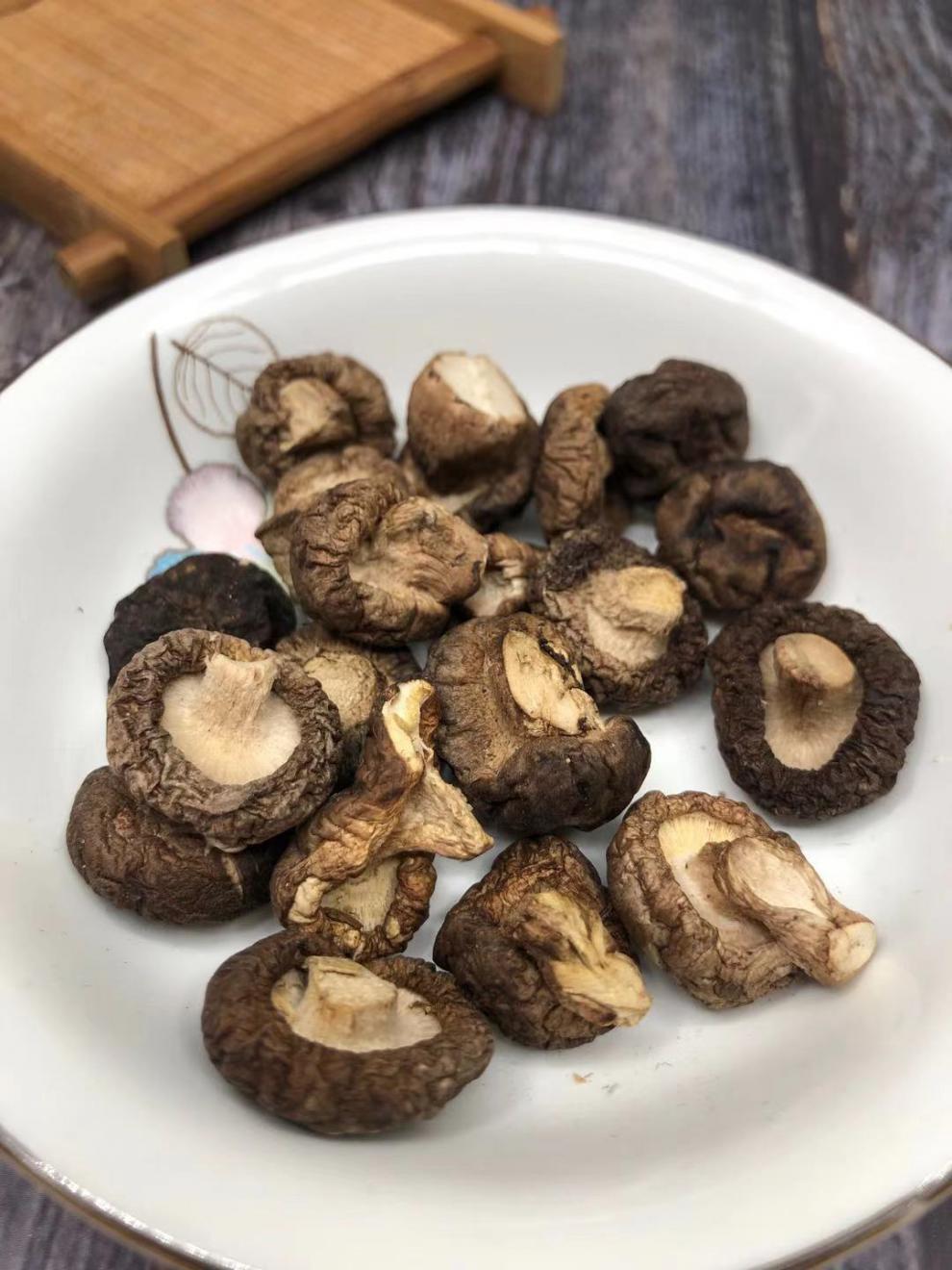 承德平泉特产香菇干批发当年香菇特级无根肉厚当季野生蘑菇椴木菇