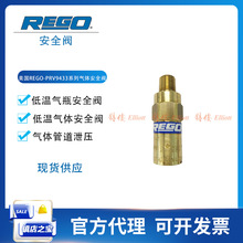 美国力高RegO气瓶安全阀PRV9433系列杜瓦瓶低温气体泄压阀弹簧式