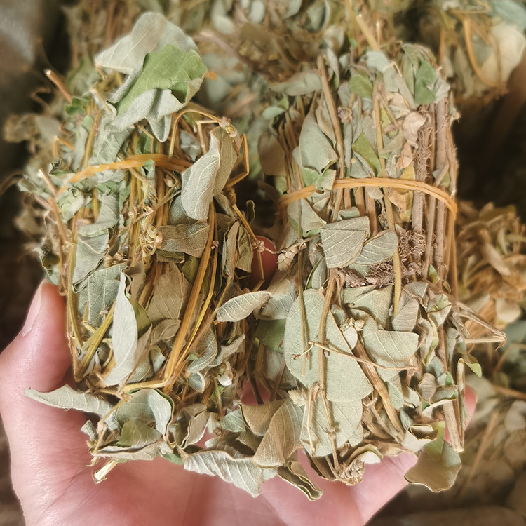 批发广西金钱草 产地货源大叶金钱草-阿里巴巴