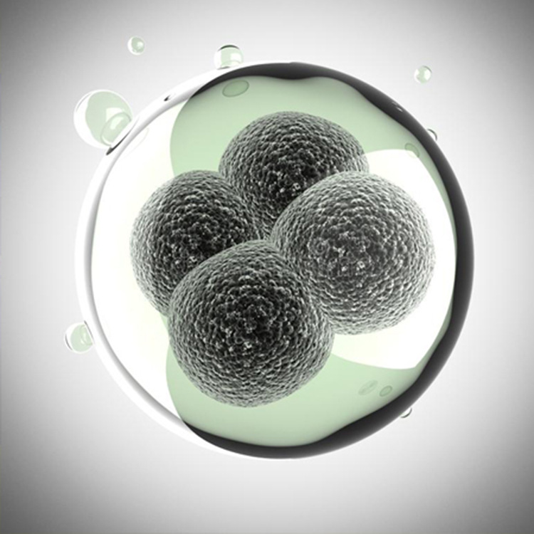 植物血球凝集素 pha 13924201417(pha订购专线)