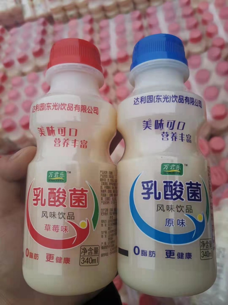 福建达利园 地摊乳酸菌饮料达利园 益生菌 ad钙奶 饮料340ml*12瓶