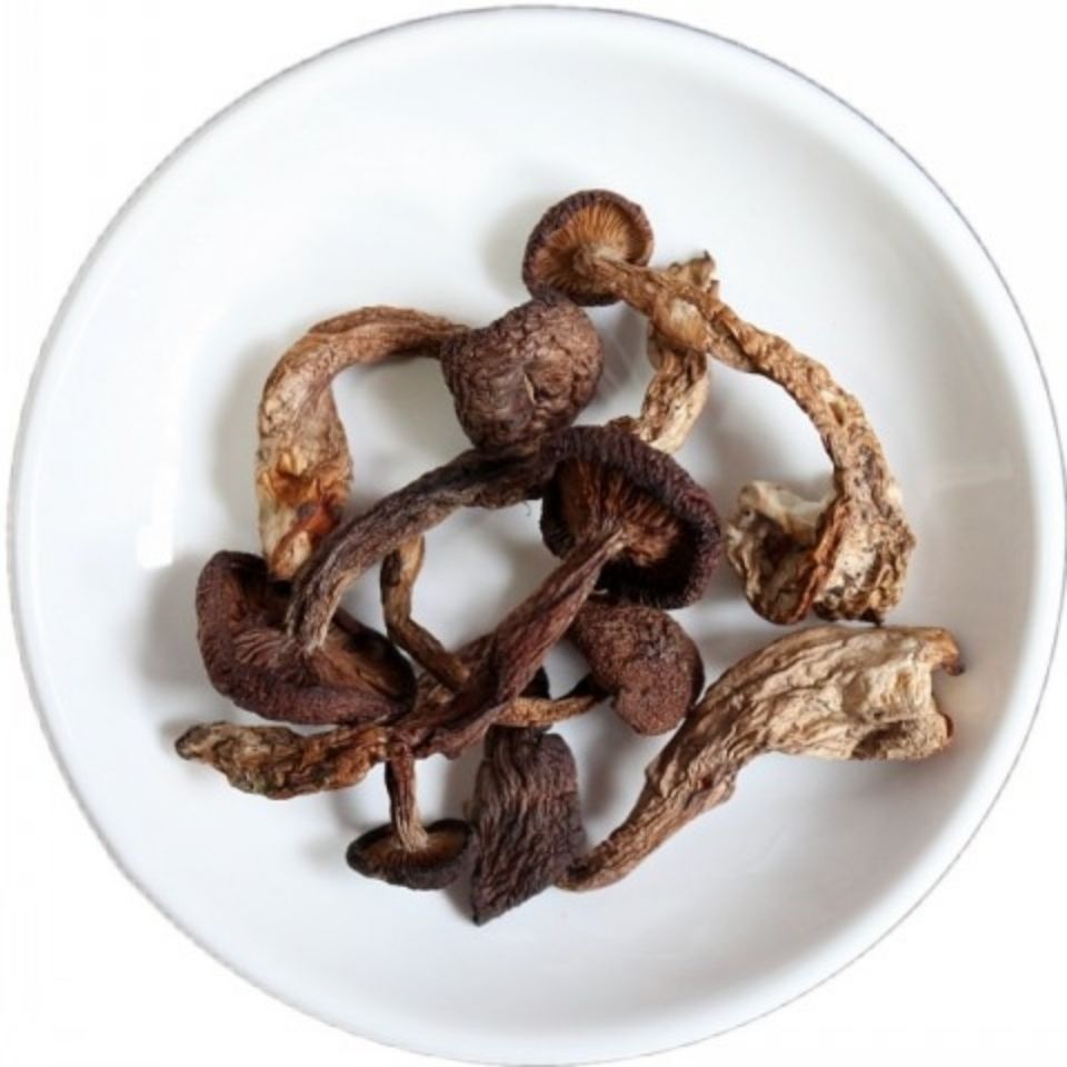 毛尖蘑鸡腿蘑野生毛尖蘑金子蘑嘉荫金矿特有菌菇野生毛尖蘑500克