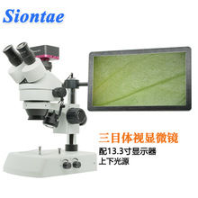 siontae7-45倍连续变倍三目体视显微镜上下LED光源可拍照录像USB