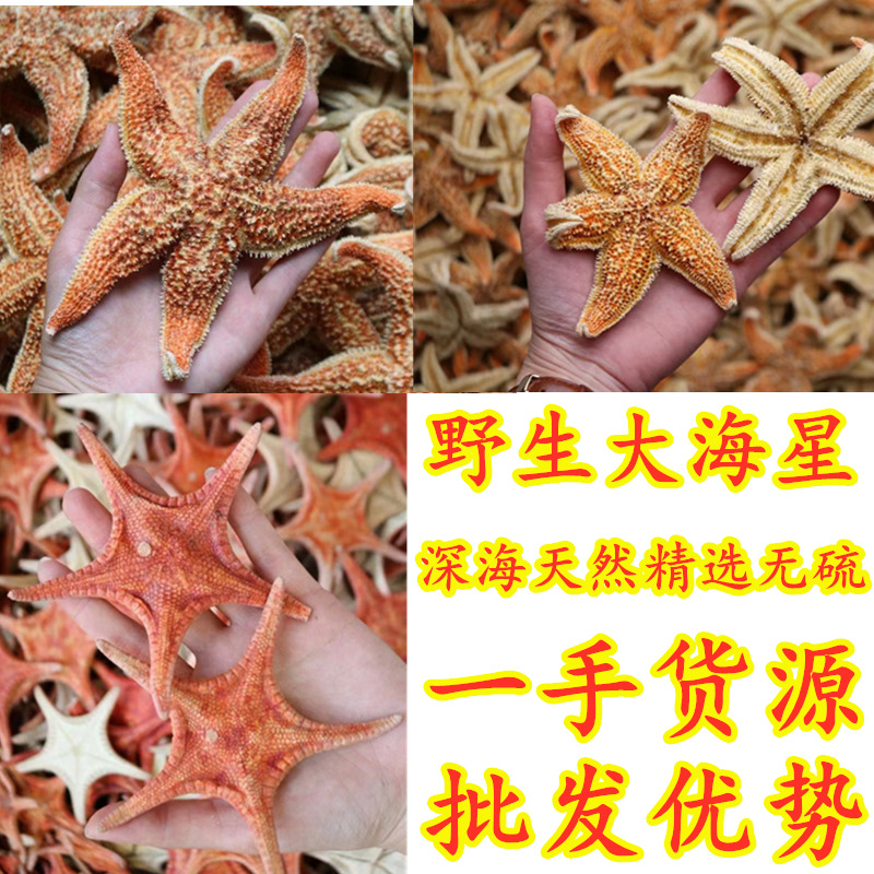 天然海星食用海星泡酒煲汤新鲜干度足海产海鲜干货大海星干货