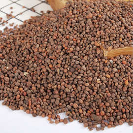 中药材 急性子 凤仙花子 指甲花 籽 指甲花籽 中草药