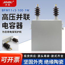 高压并联电容器BFM11√3-100-1W补偿电容器电力成套高低压电容器