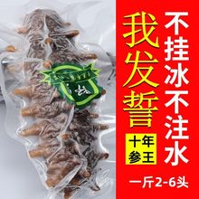 【即食海参】大连野生海参新鲜辽参鲜食刺参开袋即食单只装