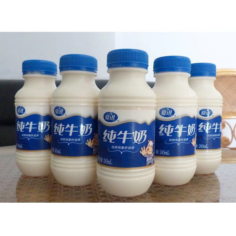 宁夏瓶装纯牛奶酸牛奶甜牛奶243ml195ml瓶装学生奶早餐-阿里巴巴