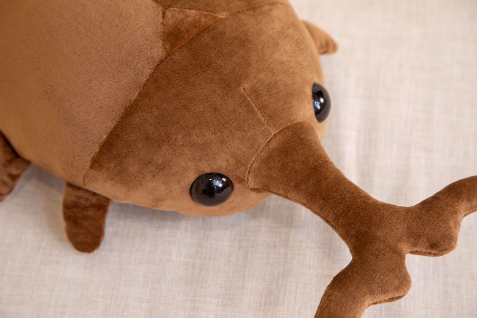 仿真昆虫系列毛绒玩具抱枕兜虫独角仙甲虫玩偶男孩生日礼物娃娃