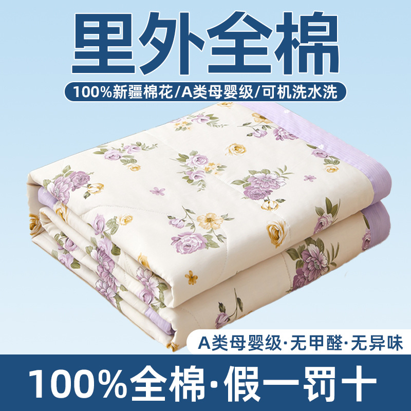 Class a Maternal and Child Grade Pure Cotton Summer Blanket Airable Cover Machine Washable Pure Cotton Summer Quilt Single Double Summer Thin Duvet