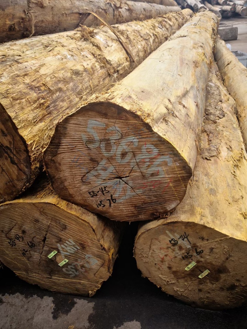 现货供应 黄硬木原木黄乳木 黄檀巴蒂硬乳木黄胆木 加工定制板材