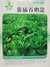 养心菜种子救心菜种子可食用野菜种子四季播阳台盆栽特色蔬菜种籽