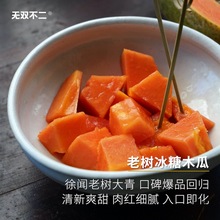 无双不二老树红心冰糖牛奶木瓜甜蜜细腻新鲜当季现摘水果雷州孕妇