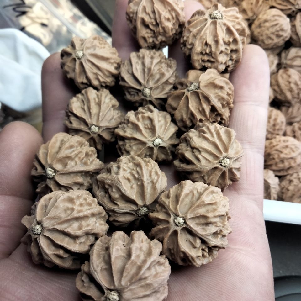 门头沟八棱野生小秋子核桃散子各种品相尺寸应有尽有手串手持脖挂