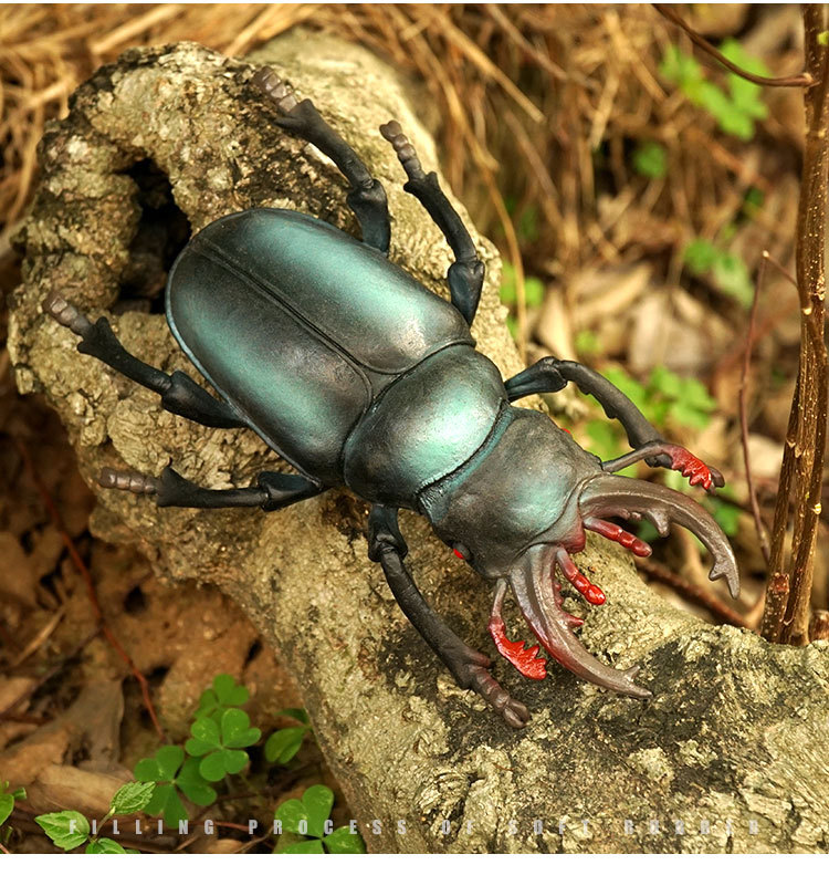 年龄儿童(4-6岁)颜色独角仙,蚂蚁,蜜蜂,瓢虫,锹虫,蜻蜓,屎壳虫,象鼻虫