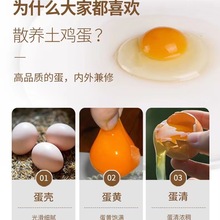 50枚散养土鸡蛋新鲜鸡蛋【40g】左右一枚 散养土鸡蛋中国大陆全年