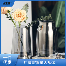 北欧创意简约透明玻璃花瓶水养植物鲜花玫瑰网红客厅花瓶摆件