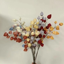 仿真灯笼果泡沫果婚庆布置花材家居摆设装饰摄影道具亚马逊仿真花