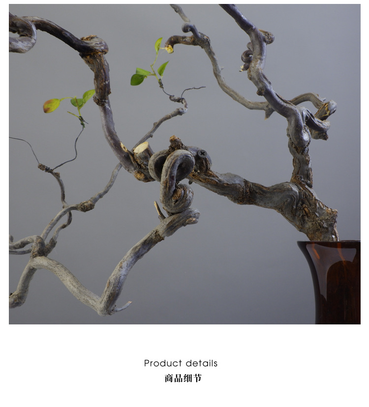 龙枣干枝装饰树枝玄关弯曲枝条龙须枣枝条鸟蹬插花工艺