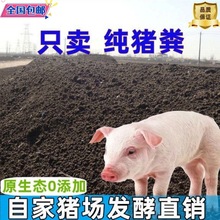 猪粪肥营养土发酵猪粪肥料蔬菜瓜果养花院子绿植农家肥腐熟