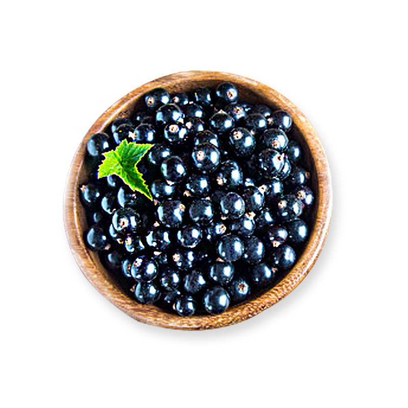 工厂直售冷冻黑加仑冷冻新鲜水果速冻新鲜水果黑加仑糕点装饰