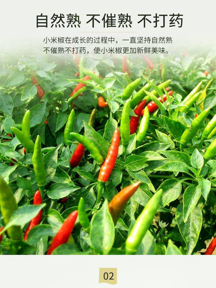 新鲜小米辣椒5斤特-阿里巴巴