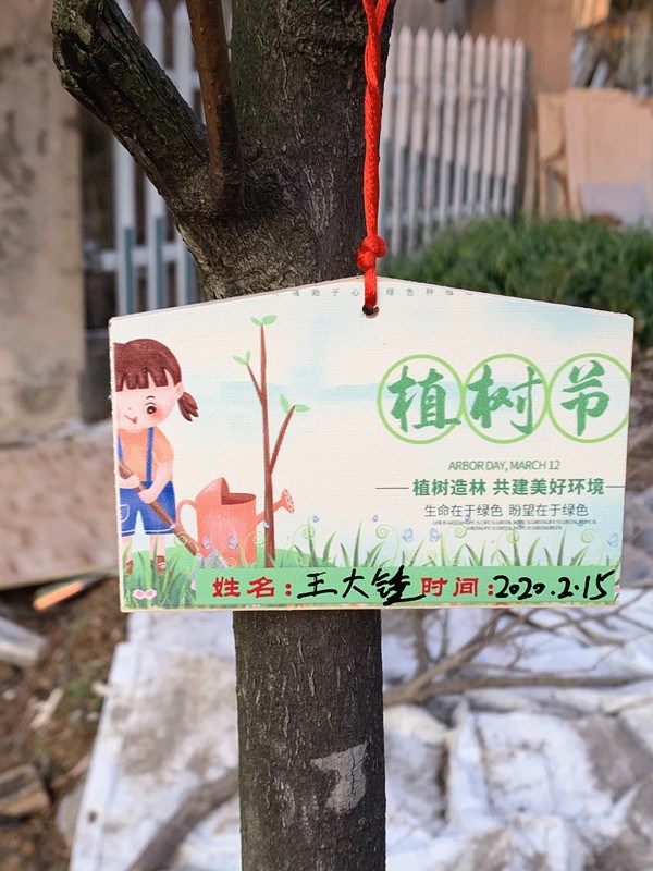 树木认养牌 树木认领牌 植物标签牌 植树纪念牌 植树节树牌
