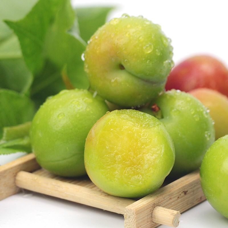 李子现货三月新鲜酸脆青现摘早熟李果孕妇应季水果三华李厂家批发