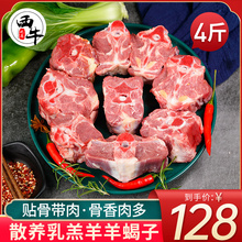 乳羔羊肉 4斤羊蝎子新鲜生羊肉羊脊骨带肉生鲜羔羊