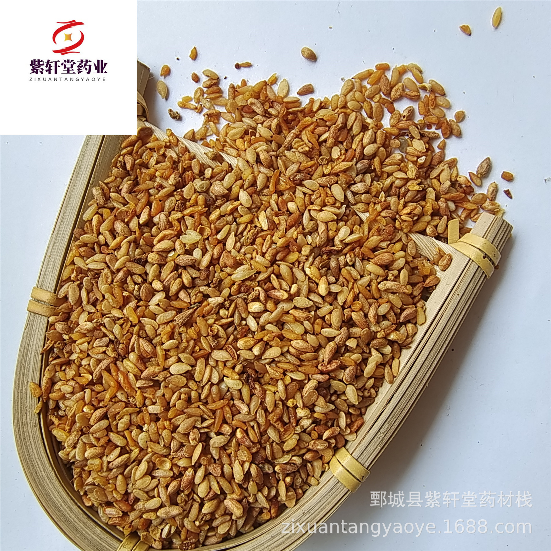 【紫轩堂】柏子仁500g新货上市量大从优实物拍摄中药材批发柏子仁