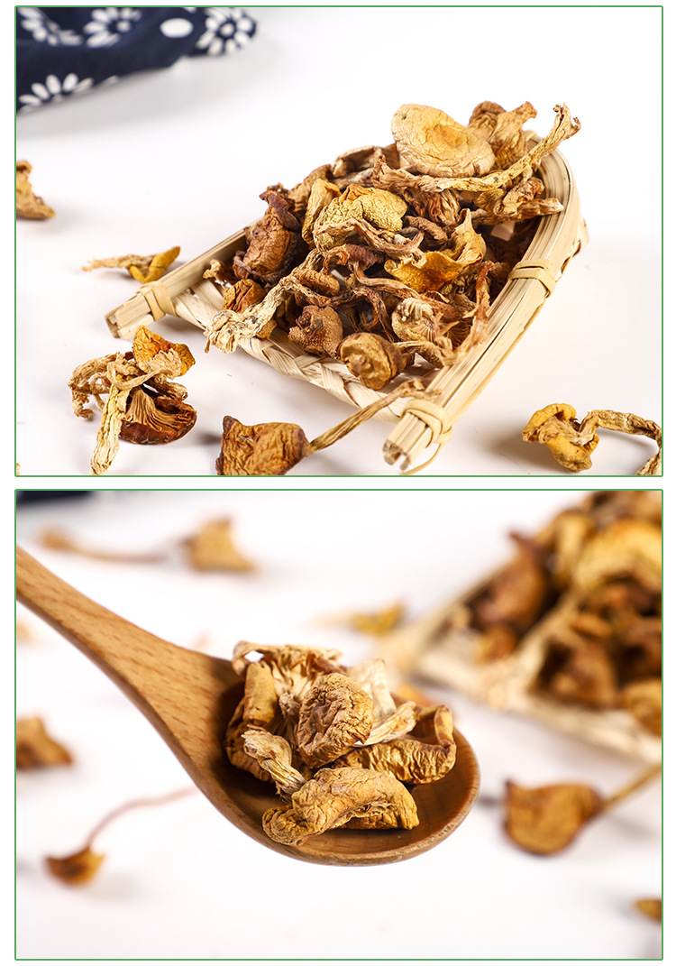 东北玉皇蘑榆黄菇菇肉厚360g特产小鸡炖蘑菇干货罐装蘑菇批发