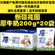 新疆花园厚牛奶支持一件代发新疆纯牛奶初乳提取CBP3.4蛋白牛奶