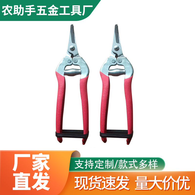 农助手弯头稀果剪不锈钢摘果剪修枝葡萄花椒园林园艺剪枝果树剪刀