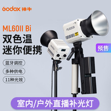 Godox神牛ML60IIBi摄影灯补光灯双色温LED直播视频拍摄室内拍照灯
