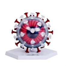 4DMaster新冠病毒模型冠状病毒解剖DIY手工益智拼装玩具教具