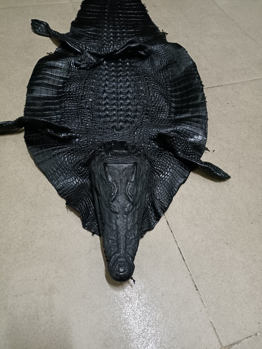 进口a级暹罗鳄鱼皮料 整张暹罗鳄鳄鱼皮高端特种珍稀皮批发零售