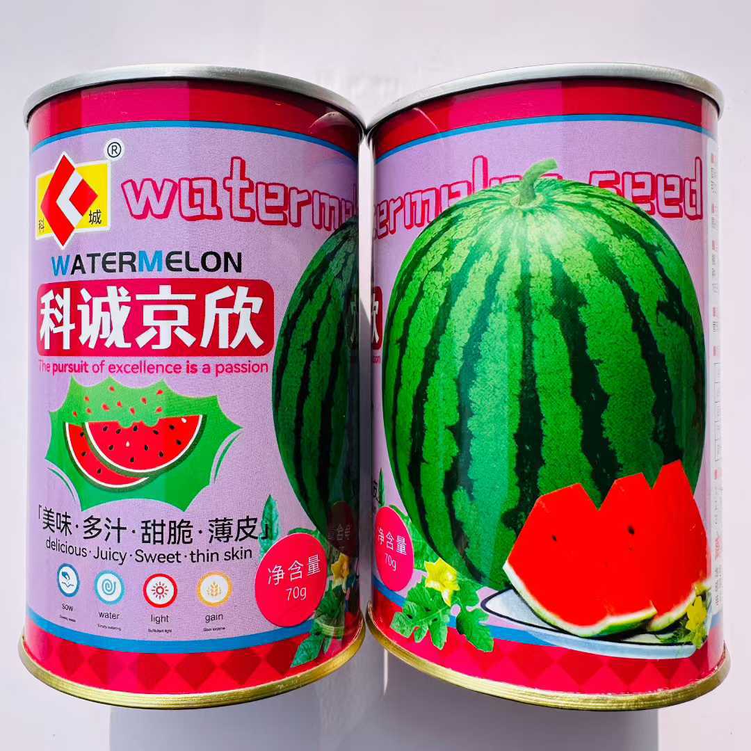 电商进货西瓜种子黑皮西瓜黄皮西瓜8424优质西瓜种子