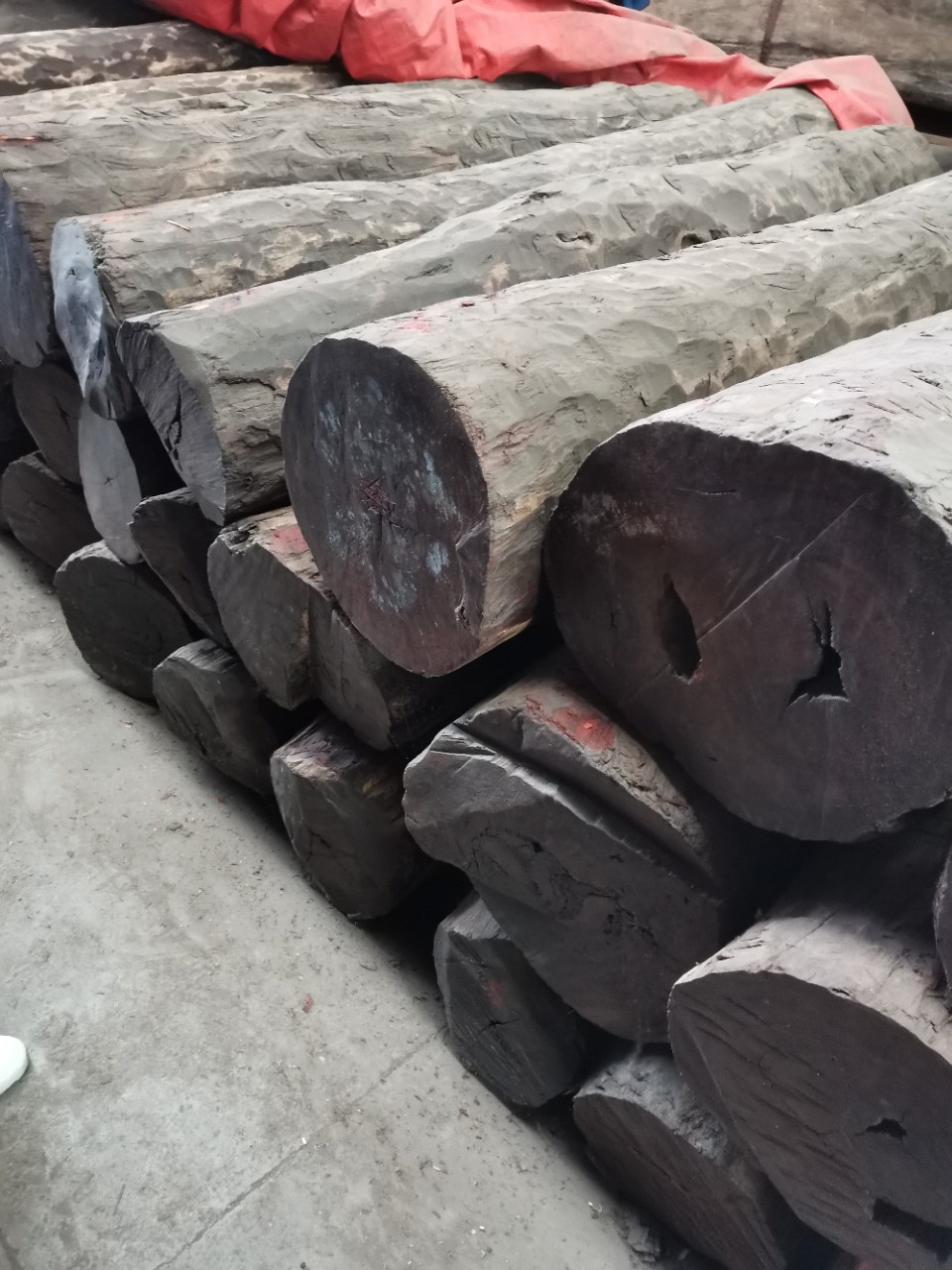 血檀 赞比亚血檀 莫桑比克血檀 刚果血檀 大红檀