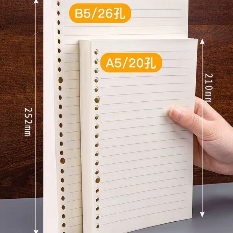活页本内芯活页夹笔记本替芯a5:20孔孔通用可拆卸活页夹本子替芯