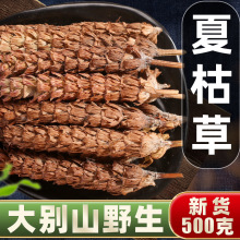 野生白毛夏枯草中药材筋骨草新鲜干货 苦草散血丹紫背金盘活血