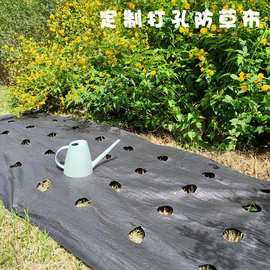 打孔黑色无纺布防草布 园林园艺除草地布 果园大棚抗老化pp除草布