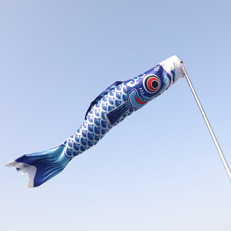 5米大号 端午节饰品 日本和风鲤鱼旗 导游旗 鲤鱼幡 料理店装饰