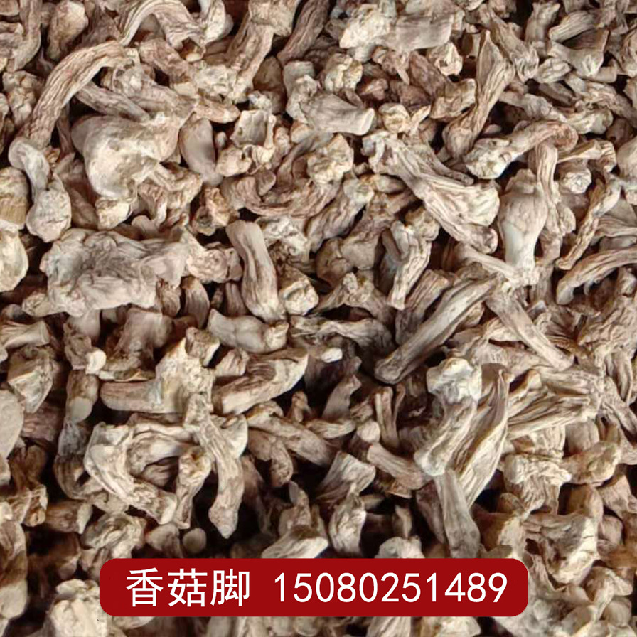 厂家批发单剪香菇脚 食用菌农产品脱水香菇腿单剪香菇干制500g