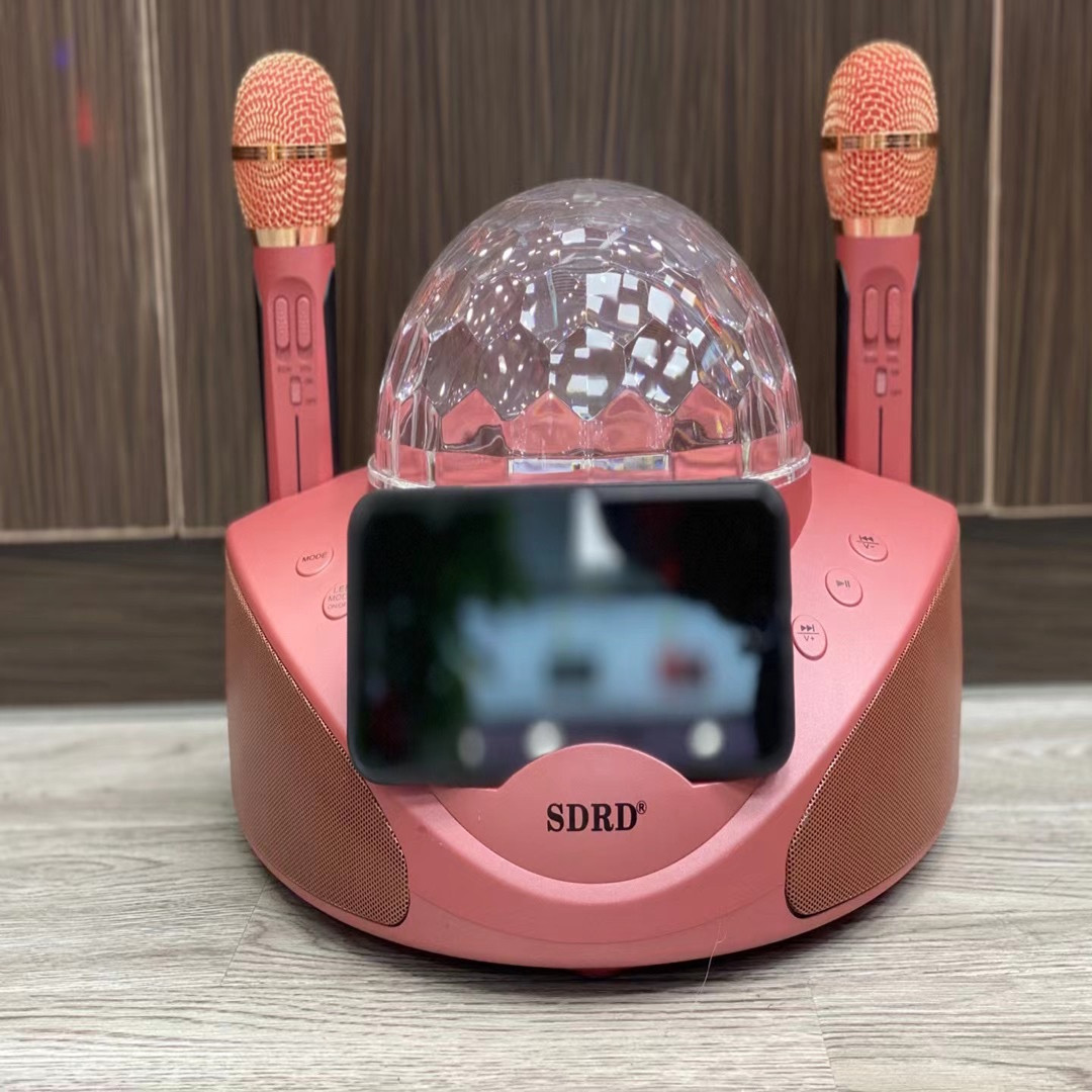 sdrd308厂家无线麦克风家用ktv音箱话筒一体机蓝牙音箱七彩卡拉ok