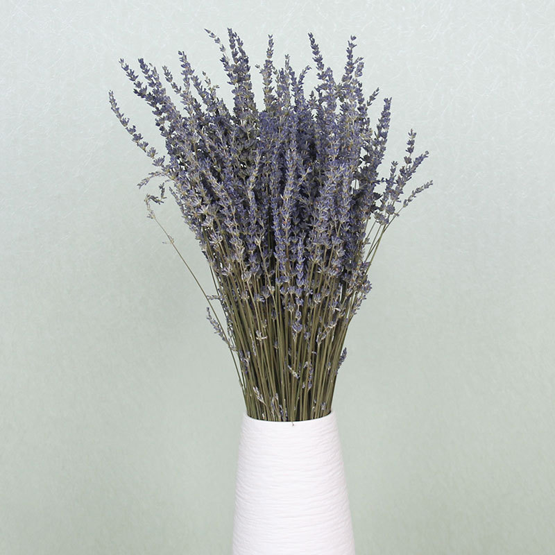 天然装饰干花配批发居家花束材家装跨境材蜡烛衣草香薰diy薰衣草