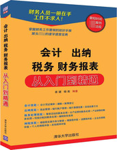 会计 出纳 税务 财务报表 从入门到精通 会计