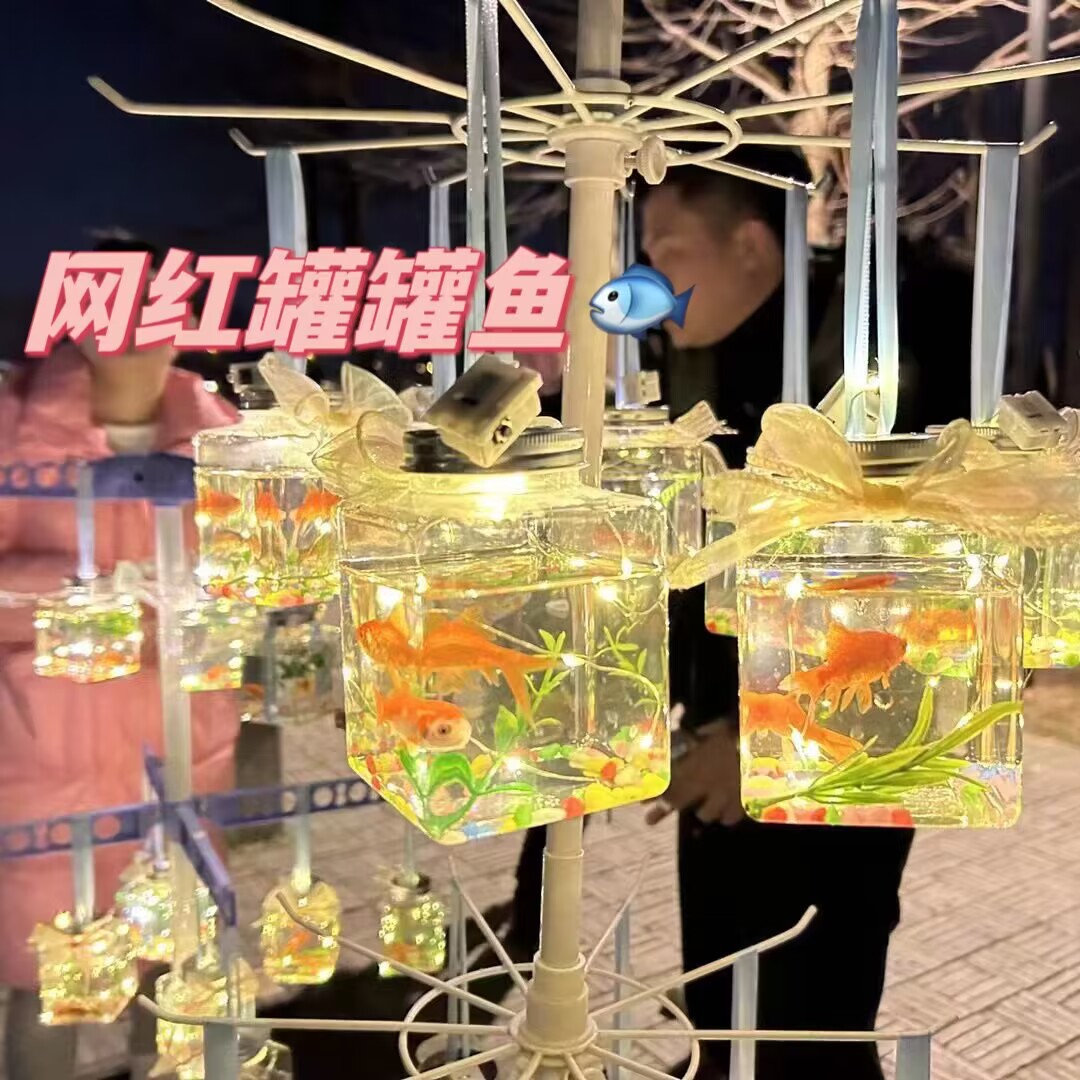 网红发光罐罐鱼观赏鱼瓶装发光鱼夜市爆款鱼全套材料包鱼地摊_义乌