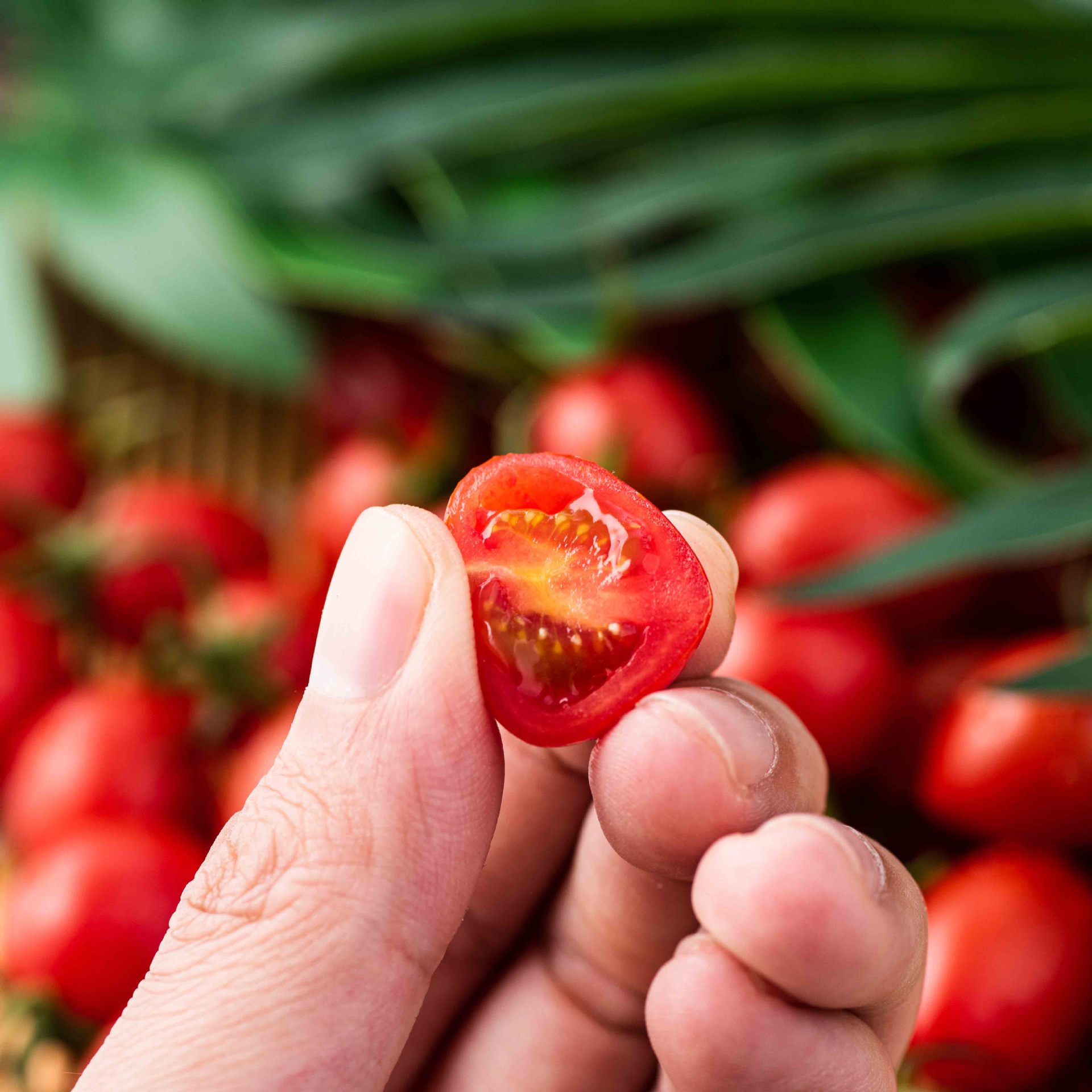 釜山88小番茄圣女果千禧玲珑果新鲜水果樱桃小柿子自然熟超甜