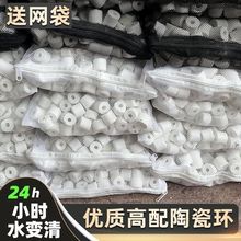 鱼塘陶瓷环玻璃环过滤材料白环鱼缸3D益菌屋纳米石英鱼池过滤滤材