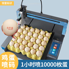 全自动整盘鸡蛋喷码机XY轴小型台式打码机打印生产日期标识logo